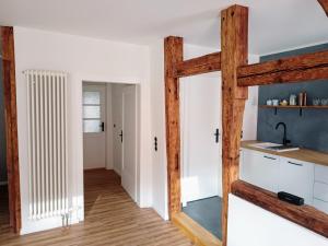 Η κουζίνα ή μικρή κουζίνα στο Studio-Apartment in Eisenberg, Thüringen +8 φωτογραφίες