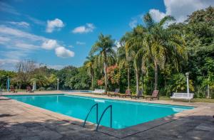 a swimming pool with benches and palm trees at Altos de la Viña, Wine Hotel & Spa in San Salvador de Jujuy