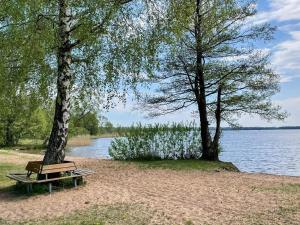 a park bench next to two trees and a lake at 4 person holiday home in SMEDSTORP in Smedstorp