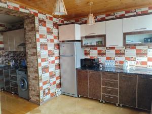 Sheki Central Apartment Deluxe في شيكي: مطبخ مع ثلاجة وغسالة +5 صور