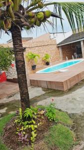 a palm tree next to a swimming pool at Enseadabechouse in Cabo de Santo Agostinho