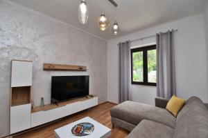 a living room with a couch and a tv at Apartment Martelina in Manjadvorci