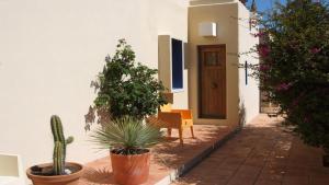 a patio with plants and a chair and a door at Villa El Arenal in Níjar
