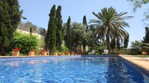 a swimming pool in a garden with palm trees at Villa El Arenal in Níjar +32 photos