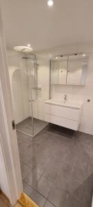 a bathroom with a shower and a sink and a tub at Cozy Aurora View Apartments - Entire 3-Bedroom Fully Furnished Near City Centre in Tromsø +18 photos