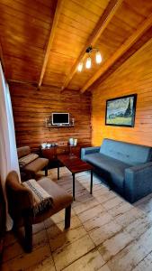 Una sala de estar con un sofá y un televisor. en Cabaña La Vista, en La Caldera