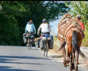 a group of people riding bikes and a horse on a road at Vila Darli Peshkopi Dibra in Peshkopi