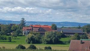 フリードリヒスハーフェンにあるBellevue FN, Appartement mit See- und Bergsichtの緑地の木々の集団