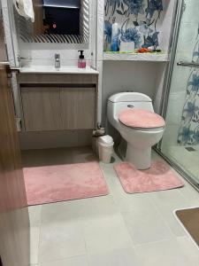 a bathroom with a toilet and a sink and a shower at Villa M&G Mompox in Santa Cruz de Mompox +12 photos