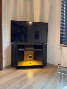 Et tv og/eller underholdning på Just In Colmar, maison complète avec parking privé