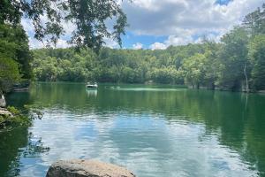 Příroda nedaleko prázdninového domu + 67 fotografií