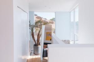 ein weißes Haus mit einer Palme im Flur in der Unterkunft Industrial&Stylish 3 bedroom 3 bathrooms Home With Views and Hot tub in Los Angeles