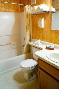 a bathroom with a toilet and a sink and a tub at Togwotee Mountain Lodge in Moran