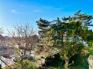 a tree in the middle of a field at Modern Stylish Luxury Apartment with Parking in Vienna