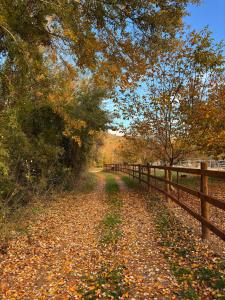 a dirt road next to a wooden fence at Casa azul in Nerpio +1 photo