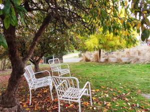 two white chairs sitting under a tree in a park at D'entre Cabin in Woodbridge