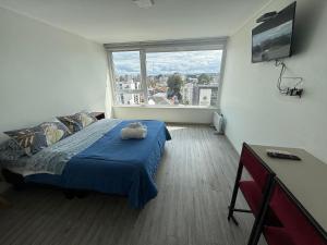 a bedroom with a bed and a large window at Edificio Stepke in Temuco