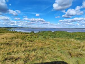 une grande étendue d'eau dans un champ avec de l'herbe dans l'établissement 8 person holiday home in Hemmet, à Hemmet 34 autres photos
