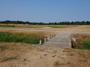 Naturlandskabet i nærheden af lejligheden