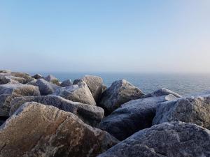 Gallery image of 6 person holiday home in Gilleleje-By Traum in Gilleleje +27 photos