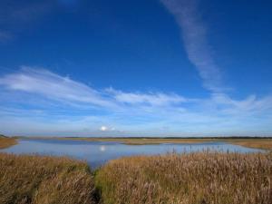 Gallery image of 6 person holiday home in Blåvand in Blåvand