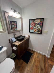 een badkamer met een wastafel en een toilet. bij Barn Door Themed Garvan Gardens Blue Bungalow in Hot Springs