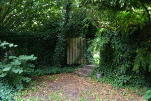 a garden with a wooden gate surrounded by ivy at Greenbrook Blue TwinSuite in Aalborg