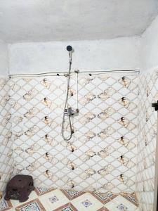 a group of bees on the wall of a bathroom at Tagmat guest house in Toufrine +88 photos