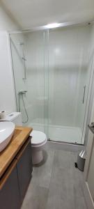 Un baño con ducha, inodoro y lavabo. en Refugio Oriente, en Osorno 11 fotos más