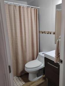 a bathroom with a toilet and a shower curtain at Descanso y Confort en La Serena in La Serena +24 photos