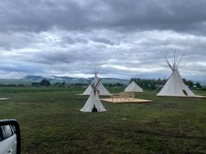a group of three tents in a field at Rustic Elegance: Tipi Glamping by Wind River Mountains in Fort Washakie in Milford
