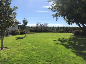 a large yard with green grass and trees at A Rural Retreat, Cabin with Private Bathroom No 2 in Hastings