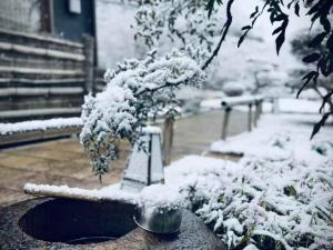 eine schneebedeckte Bank mit einer Vase und einem Baum in der Unterkunft Oukai Villa Izumi in Izumi + 118 Fotos