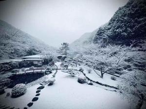 ein schneebedeckter Garten mit Bäumen und Sträuchern in der Unterkunft Oukai Villa Izumi in Izumi