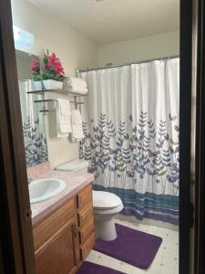 a bathroom with a toilet and a shower curtain at quiet and comfortable in Cleveland +43 photos