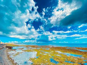 ein Strand mit bewölktem Himmel und dem Meer in der Unterkunft 北谷町宮城戸建て in Hamakawa
