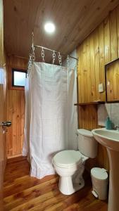 Ένα μπάνιο στο Panguipulli Cabañas Los Tallos +17 φωτογραφίες