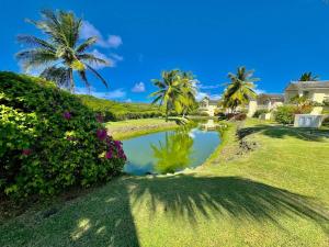 a house with palm trees and a pond at Villas on the Green Cap estate in Gros Islet