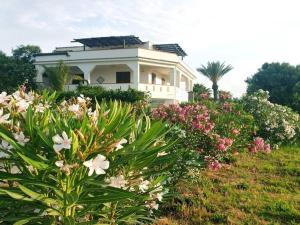 Κήπος έξω από το Apartment in Sicily near Sandy Beach