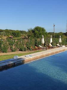 una piscina con sombrillas y sillas y agua en Agriturismo Supramurgia, en Cassano delle Murge