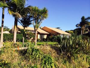 a house with palm trees in front of it at Taigh na Mara Bed and Breakfast in Whitianga +11 photos