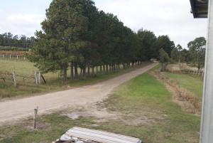 a dirt road next to a field with trees at Taits Place Vineyard B & B in Thulimbah