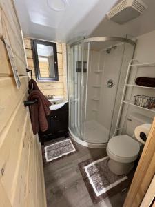 Un pequeño baño con ducha y WC. en Werlein Rentals #6, en Tok