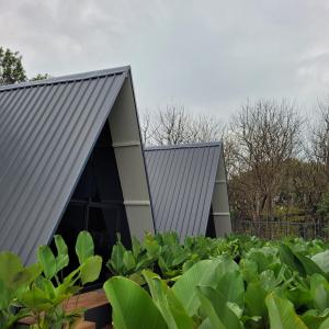 Fotografie z fotogalerie ubytování Inara Retreat v destinaci Bengalúr