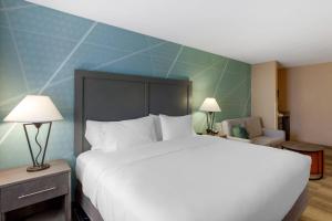 Ένα ή περισσότερα κρεβάτια σε δωμάτιο στο Comfort Inn & Suites Boulder +69 φωτογραφίες