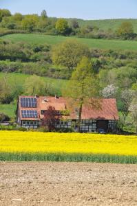 een huis met zonnepanelen in een geel raapveld bij Forsthaus Wilmeröderberg in Polle