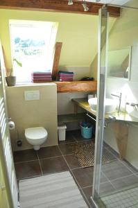 een badkamer met een toilet en een wastafel bij Forsthaus Wilmeröderberg in Polle