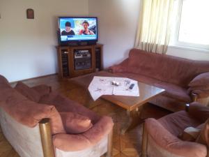 a living room with couches and a tv and a table at Cabana Ninel in Văliug