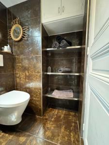a bathroom with a toilet and some shelves at Appartement Bourgeois à 5 min à pied du centre in Cannes +14 photos
