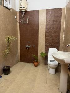 リシケーシュにあるCozy Room near Gangesのトイレと洗面台付きのバスルーム